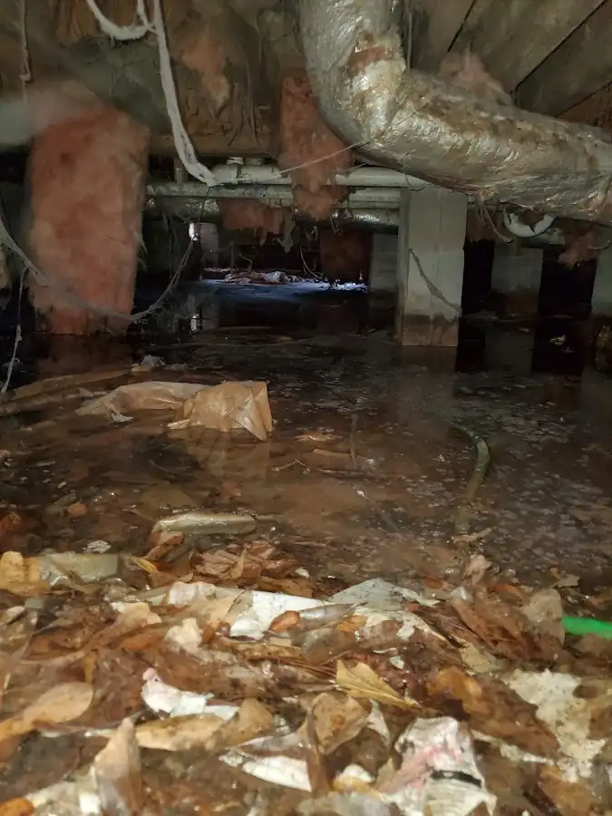 Crawl space flood assessment for Leak Detection & Repair in Long Branch