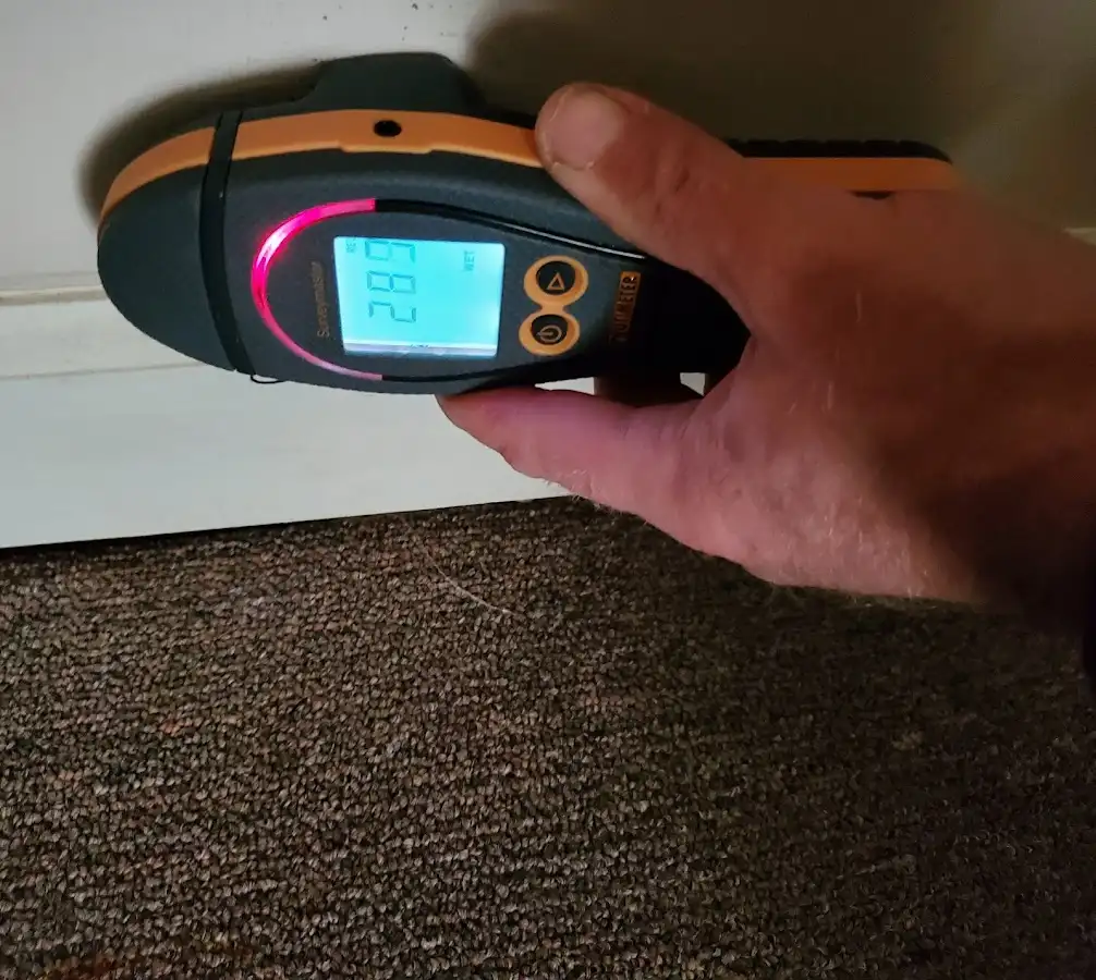 Moisture detection at baseboard during Sewage Cleanup & Sanitation in Long Branch